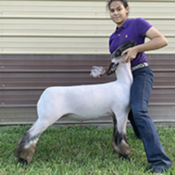 506-1456.jpeg 506-1456.jpeg