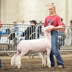 509-1459.jpg 509-1459.jpg