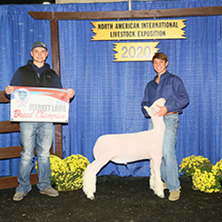 517-1467.jpg 517-1467.jpg