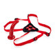 Cal Exotics Red Rider Adjustable Strap On With 7 Inch Dong - Product SKU SE7658-11