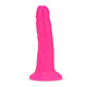 Neo Elite 6in Dual Density Penis W/ Balls Neon Pink by Blush Novelties - view 4