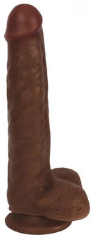 Thinz 8 inches Slim Dong with Balls Chocolate Brown by Curve Toys