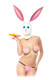 Fetish Fantasy Extreme Honey Bunny Latex Hood Sex Toy