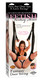 Fetish Fantasy Series Fantasy Door Swing by Pipedream - view 2