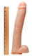 Raging ShaftStar Diamond Dan 11.75 Inch Realistic Dildo - Bulk by XR Brands - view 2