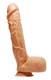 Bulging Buster 11 Inches Suction Cup Dildo by XR Brands