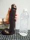 Chocolate Penis 8 Inch Realistic Dildo by XR Brands - view 3