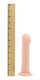Beginner Brad 6.5 Inches Dildo With Suction Cup by XR Brands - view 3