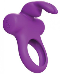 Frisky Bunny Vibrating Ring Purple Best Male Sex Toy