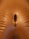 India Nubian Love Doll by Cal Exotics - view 3