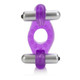 Wireless Rockin Rabbit Vibrating Ring Purple by Cal Exotics - Product SKU SE182510