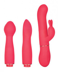 In Touch Dynamic Trio Pink Vibrator Kit Best Adult Toys