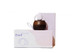 Eva 2 Couples Vibrator Quartz White by Dame Products - view 2