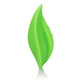 Mini Marvels Silicone Marvel Teaser Green by Cal Exotics - view 2