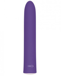 Evolved Rechargeable Slim Purple 7 Function Vibrator Best Adult Toys