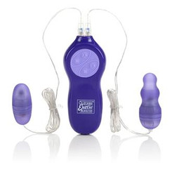 Passion Bullets and Multi-Probe Bullet Sex Toy