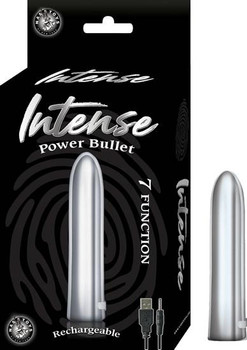 Intense Power Bullet Vibrator Silver Adult Toys