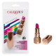 Hide And Play Rechargeable Lipstick Purple by Cal Exotics - Product SKU SE293035