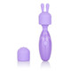 Dr Laura Berman Olivia Mini Massager with 2 Attachments Adult Sex Toys
