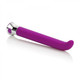 Risque G 10 Function Purple Vibrator by Cal Exotics - Product SKU SE056050