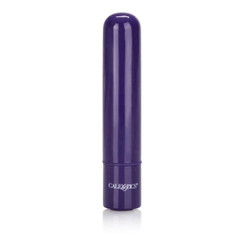 Tiny Teasers Bullet Vibrator Purple Adult Sex Toy