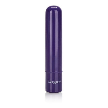 Tiny Teasers Bullet Vibrator Purple Adult Sex Toy