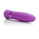 Taking Care Of Business Bullet Vibrator Purple by Cal Exotics - Product SKU SE006314