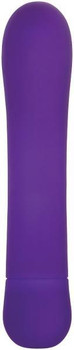 Eves Orgasmic-G Purple G-Spot Vibrator Best Adult Toys
