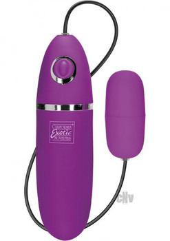 Playful Bullet Purple Vibrator Adult Toy