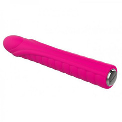 Nalone Dixie Silicone Bullet 20 Function Usb Rechargeable Waterproof Pink Adult Sex Toys