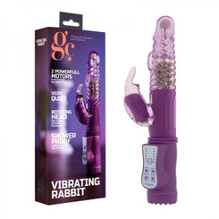 Gc Vibrating Rabbit Purple Adult Sex Toy