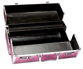 The Lockable Vibrator Case Large Pink Sex Toy For Sale
