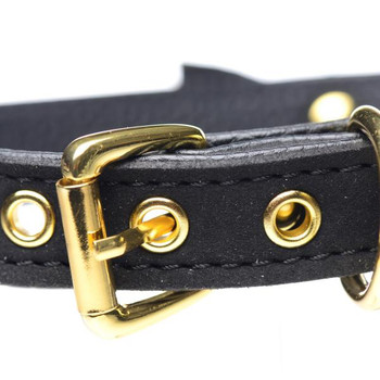 Golden Kitty Cat Bell Collar - Black/gold by Master Series