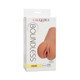 Boundless Vulva Brown - view 2