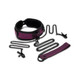 Whipsmart Dragon's Lair Collar, Leash & Nipple Clips Set - view 2