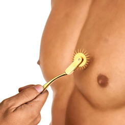 Gold Sensation Wartenberg Wheel by Master Series