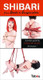 Shibari From Basics To Suspension (net) - view 2