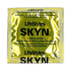 Lifestyles Skyn 24pk by Paradise Marketing - view 3