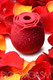 Bloomgasm Wild Rose 10X Silicone Clit Stimulator - view 3
