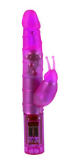 Pink Ladybug Vibrator Adult Sex Toy