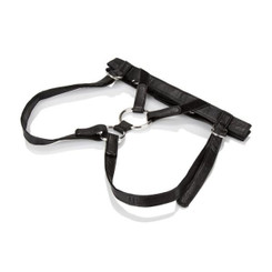 Her Royal Harness Duchess Black Boxed