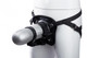 Maxtasy Strap On - view 7
