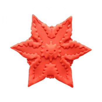 Cute Little Thrusters Starsi Coral