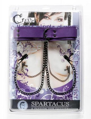 The Purple Collar with Black Nipple Clamps Sex Toy For Sale