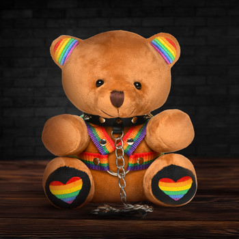 Pride Bear by Master Series