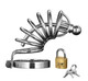 Asylum 6 Ring Locking Male Chastity Cock Cage Best Male Sex Toys