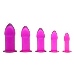 5 Piece Anal Trainer Set - Purple by Trinity Vibes