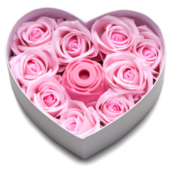 The Rose Lovers Gift Box 10x Clit Suction Rose - Pink by Bloomgasm