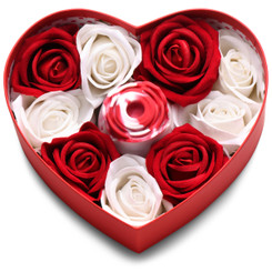 The Rose Lovers Gift Box 10x Clit Suction Rose - Swirl by Bloomgasm