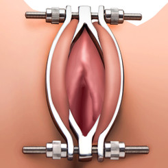 Stainless Steel Adjustable Vagina Clamp by Master Series